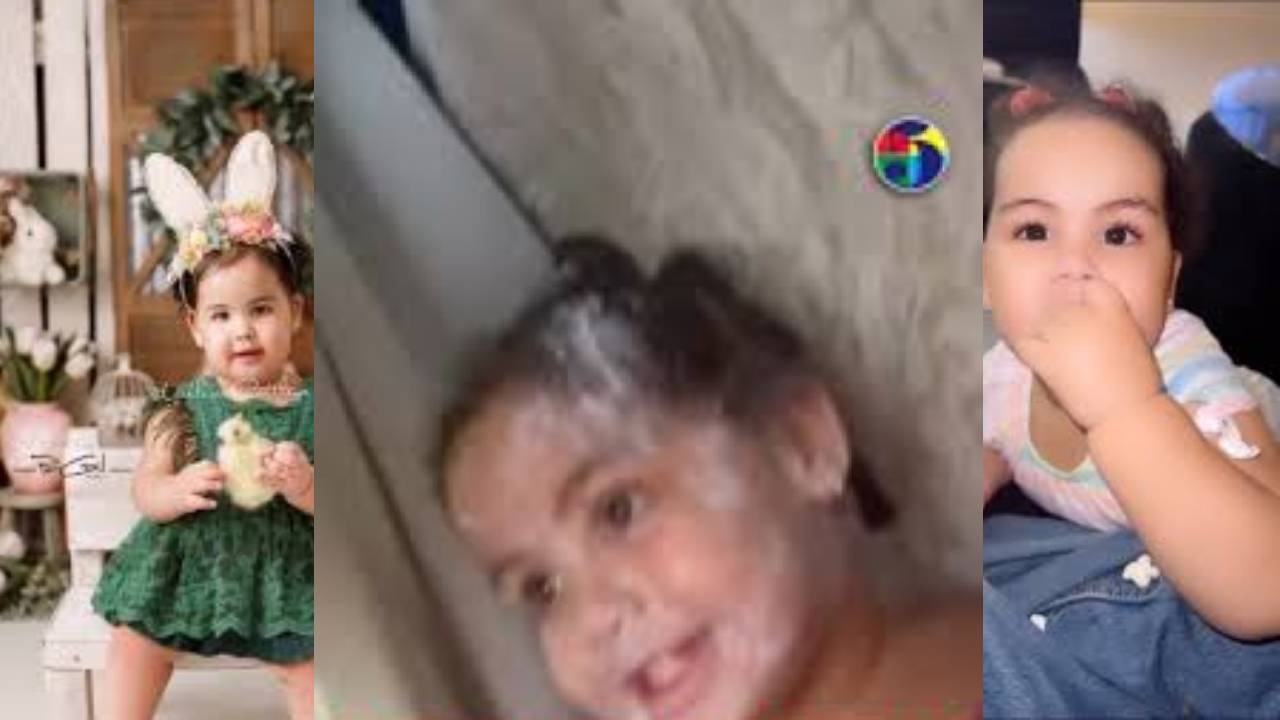 La Tierna Travesura de Cattleya Desata Risas y Amor en Redes Sociales